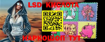 PSILOCYBIN Заволжье