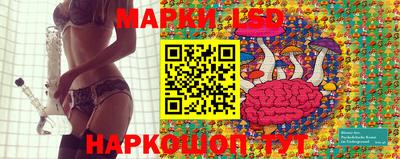 PSILOCYBIN Заволжье