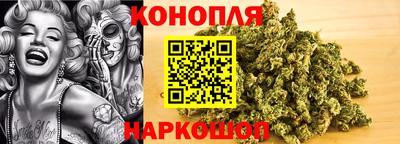 PSILOCYBIN Заволжье