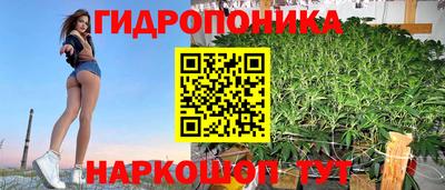 PSILOCYBIN Заволжье