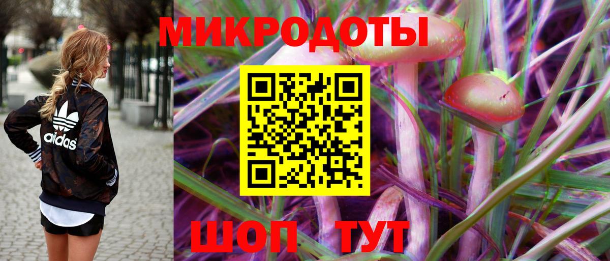 Выборг  Псилоцибиновые грибы Psilocybe  Вход с VPN  Галлюциногенные грибы мухоморы 